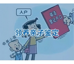 领养亲子鉴定