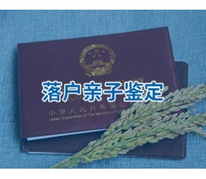 落户亲子鉴定