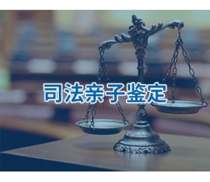 司法亲子鉴定